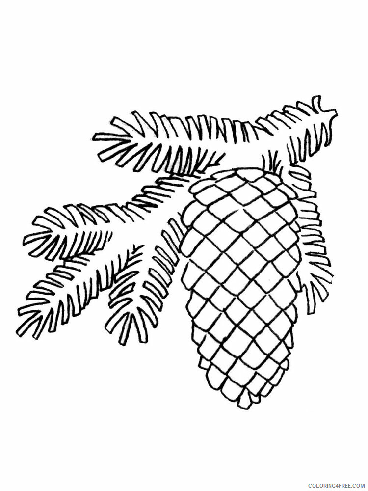 Pine Cone Coloring Pages Tree Nature Pine Cone 8 Printable 2021 600 Coloring4free