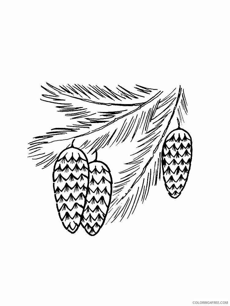 Pine Cone Coloring Pages Tree Nature Pine Cone 9 Printable 2021 601 Coloring4free