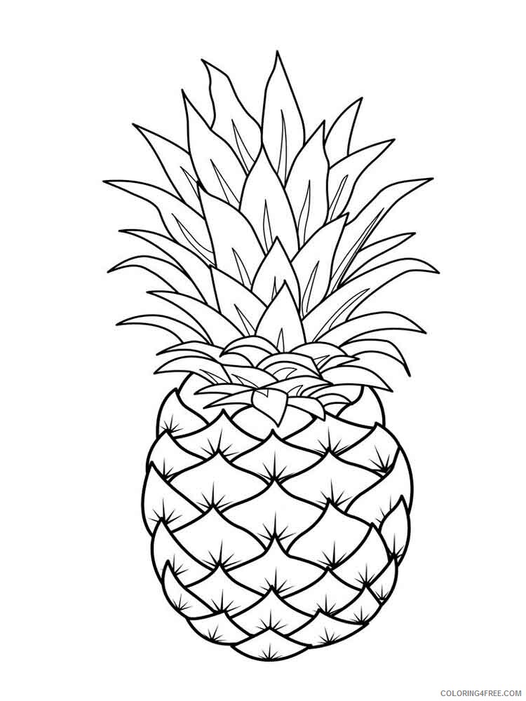 Pineapple Coloring Pages Fruits Food Pineapple fruits 1 Printable 2021 351 Coloring4free