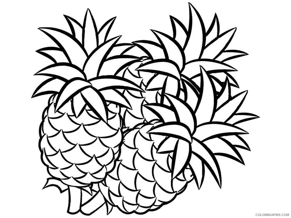 Pineapple Coloring Pages Fruits Food Pineapple fruits 11 Printable 2021 352 Coloring4free