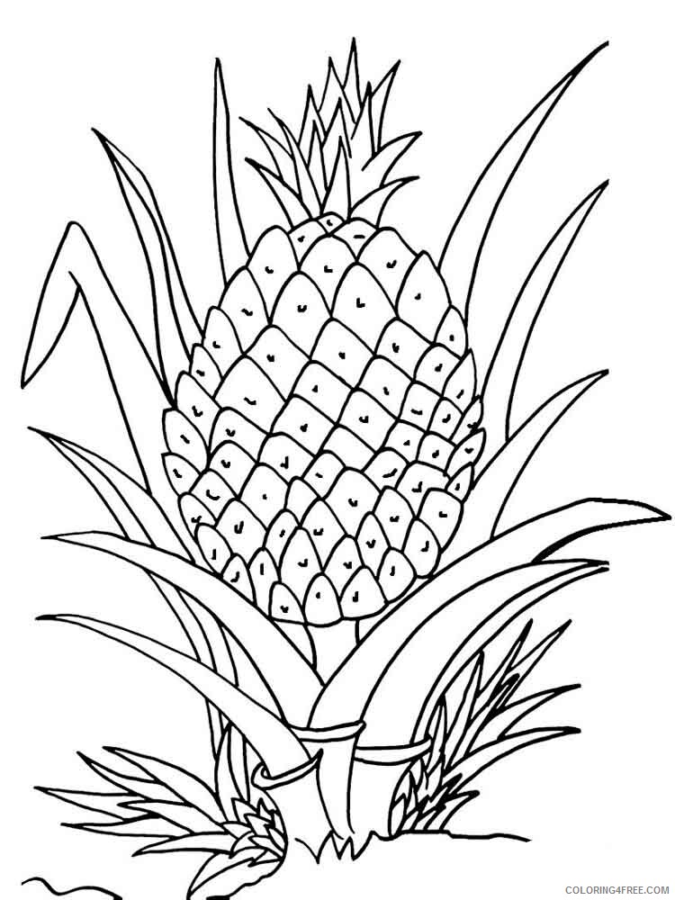 Pineapple Coloring Pages Fruits Food Pineapple fruits 4 Printable 2021 353 Coloring4free