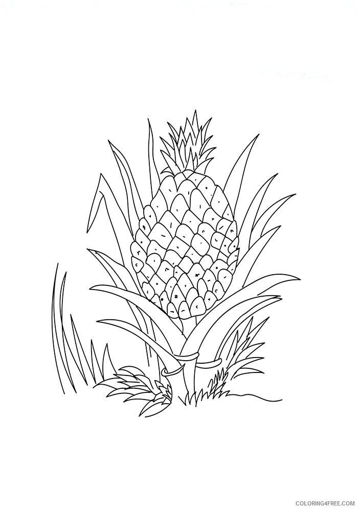 Pineapple Coloring Pages Fruits Food a ripe pineapple Printable 2021 341 Coloring4free
