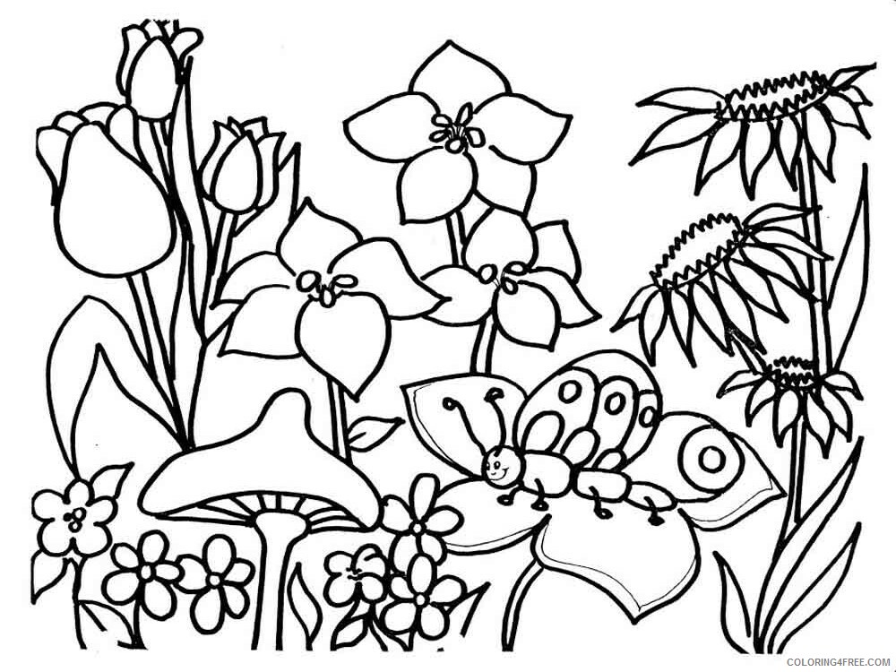 Plants Coloring Pages Nature plants 10 Printable 2021 430 Coloring4free