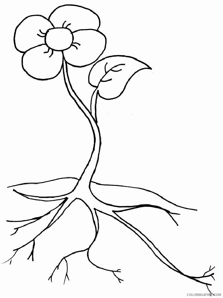 Plants Coloring Pages Nature plants 12 Printable 2021 432 Coloring4free