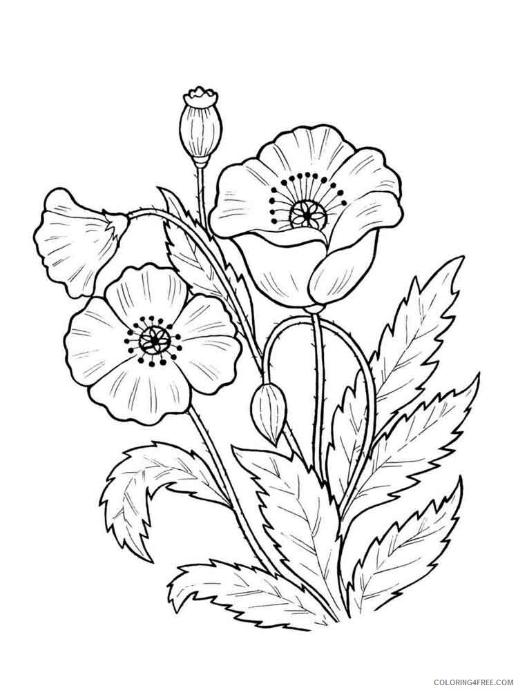 Plants Coloring Pages Nature plants 17 Printable 2021 434 Coloring4free