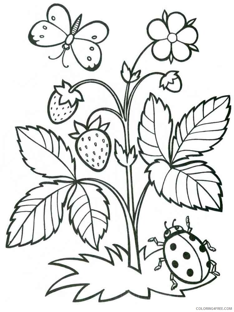 Plants Coloring Pages Nature plants 4 Printable 2021 439 Coloring4free
