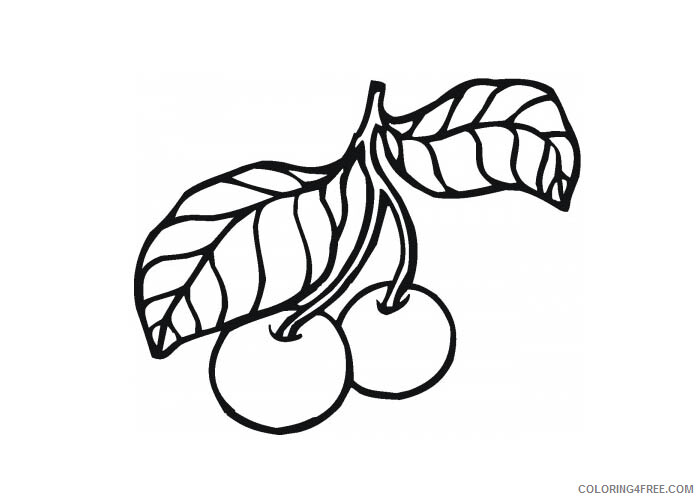 Plum Coloring Pages Fruits Food Plum Printable 2021 365 Coloring4free