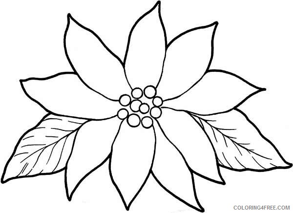 Poinsettia Coloring Pages Flowers Nature Blooming for Poinsettia Day 2021 298 Coloring4free