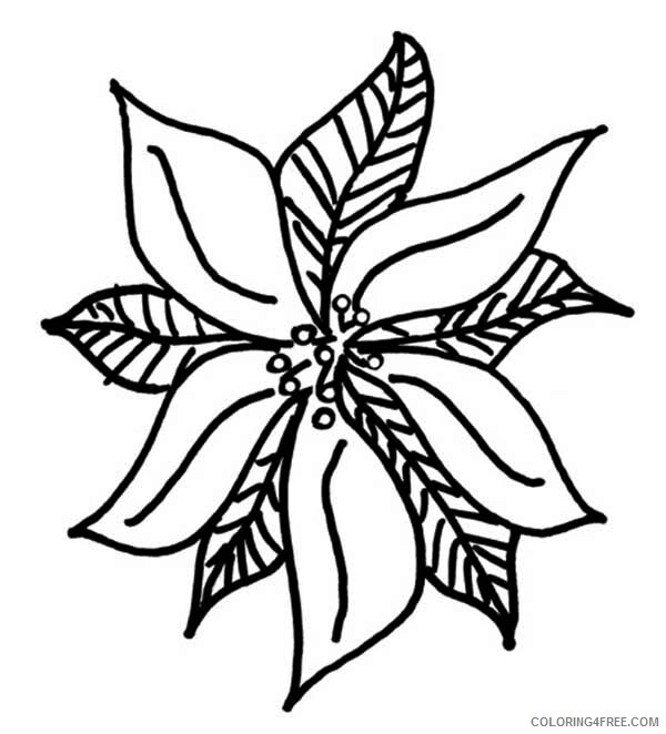 Poinsettia Coloring Pages Flowers Nature Drawing of Poinsettia Printable 2021 302 Coloring4free