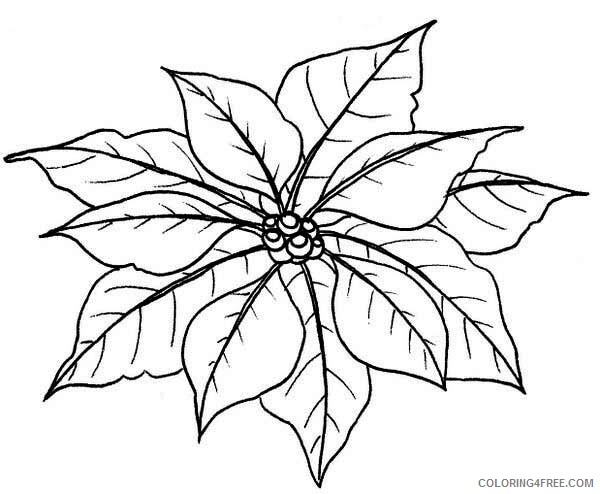 Poinsettia Coloring Pages Flowers Nature Leaves of Poinsettia Printable 2021 305 Coloring4free
