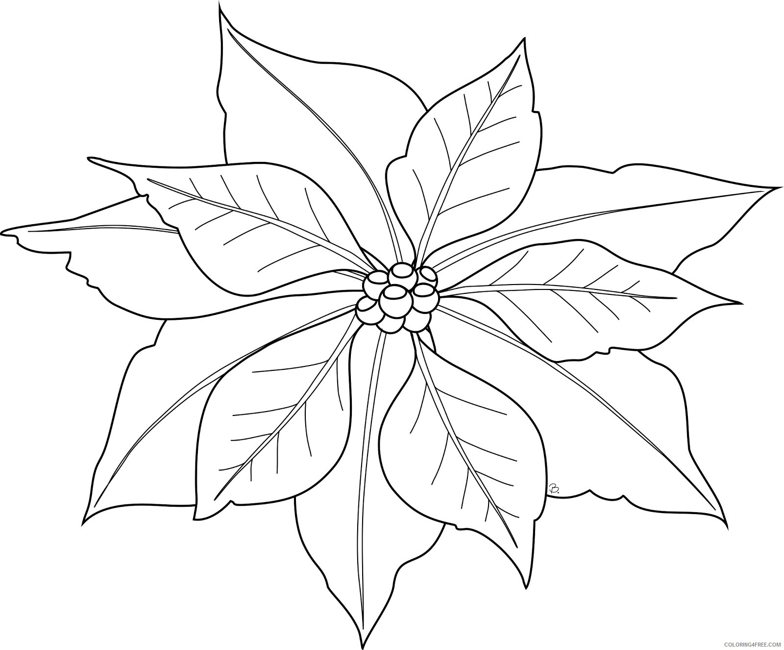 Poinsettia Coloring Pages Flowers Nature Poinsettia For Kids Printable 2021 309 Coloring4free