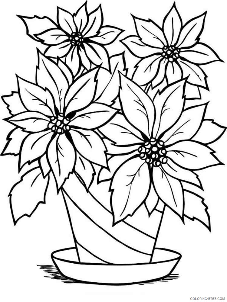 Poinsettia Coloring Pages Flowers Nature Poinsettia flower 1 Printable 2021 313 Coloring4free