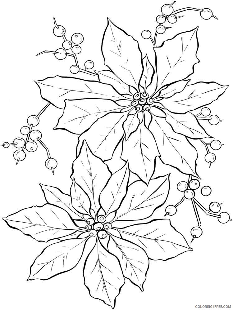 Poinsettia Coloring Pages Flowers Nature Poinsettia flower 3 Printable 2021 315 Coloring4free