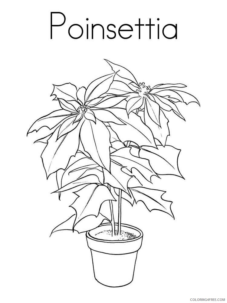 Poinsettia Coloring Pages Flowers Nature Poinsettia flower 5 Printable 2021 316 Coloring4free