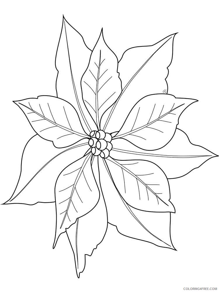 Poinsettia Coloring Pages Flowers Nature Poinsettia flower 6 Printable 2021 317 Coloring4free