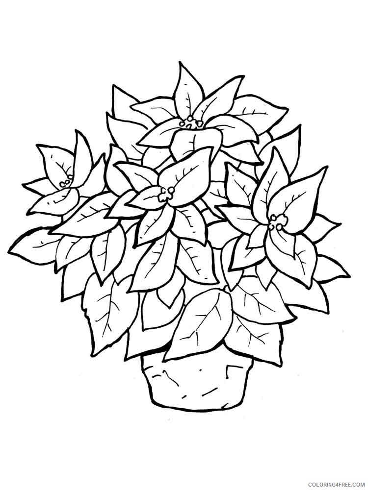 Poinsettia Coloring Pages Flowers Nature Poinsettia flower 7 Printable 2021 318 Coloring4free