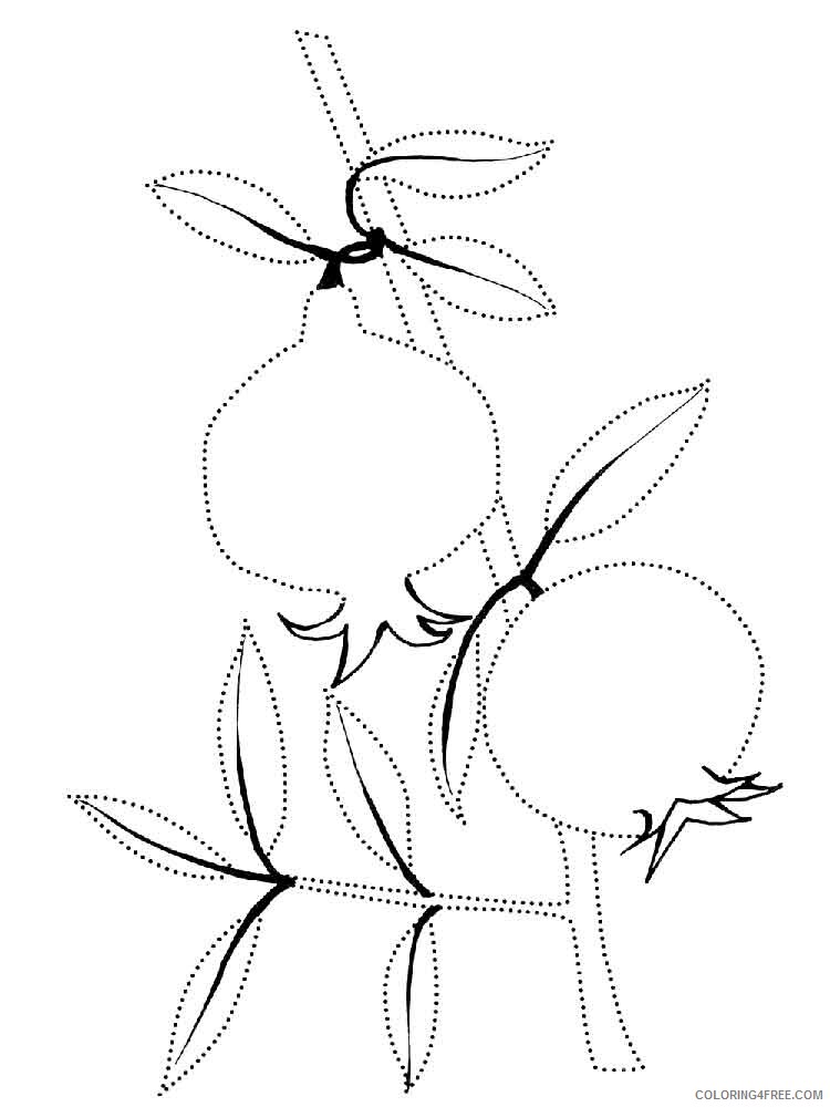 Pomegranate Coloring Pages Fruits Food Pomegranate fruits 2 Printable 2021 377 Coloring4free