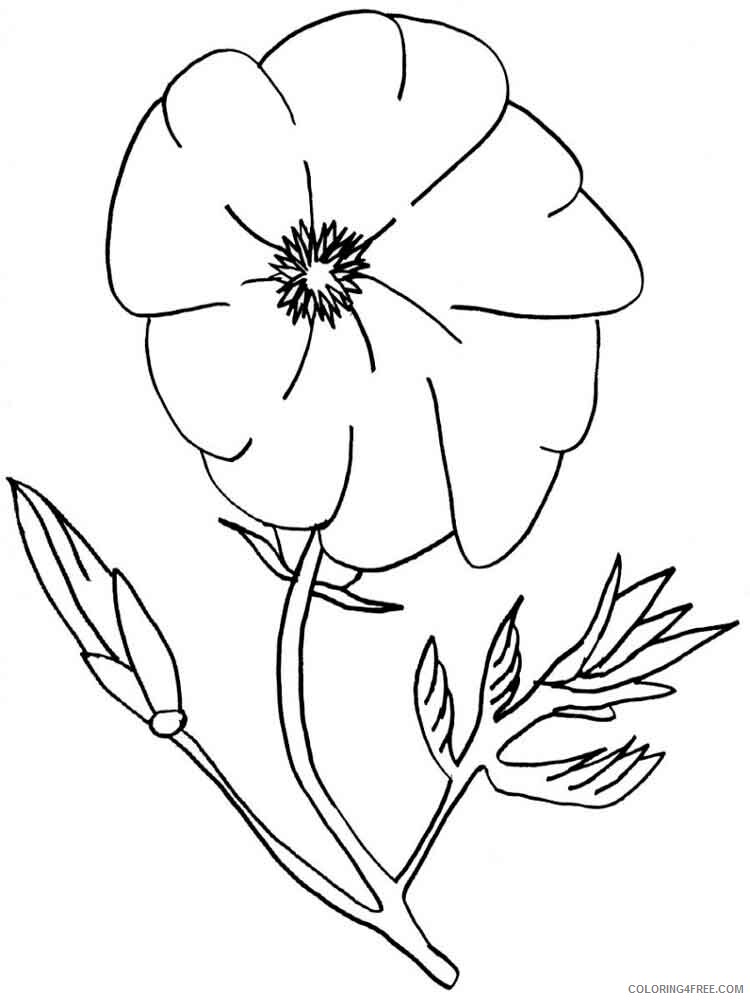 Poppy Coloring Pages Flowers Nature Poppy flower 12 Printable 2021 326 Coloring4free