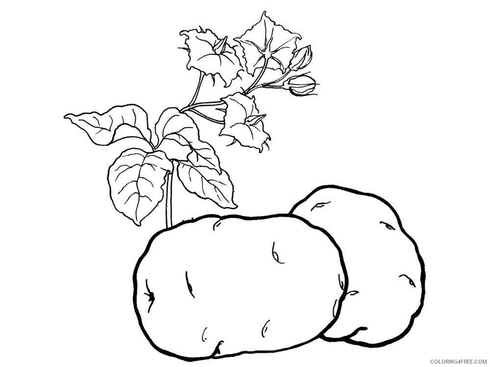 Potato Coloring Pages Vegetables Food Vegetables Potato 9 Printable 2021 658 Coloring4free
