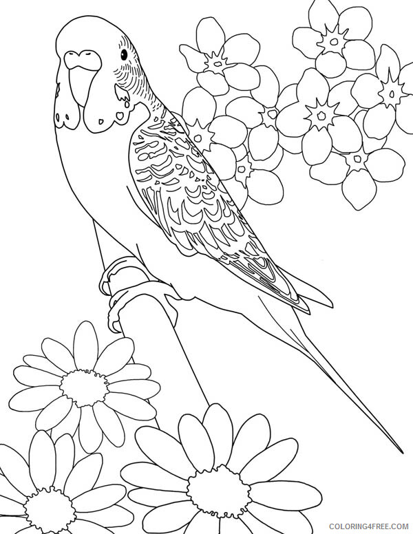 Printable Flower Coloring Pages Flowers Nature Beautiful Parakeet Printable 2021 Coloring4free