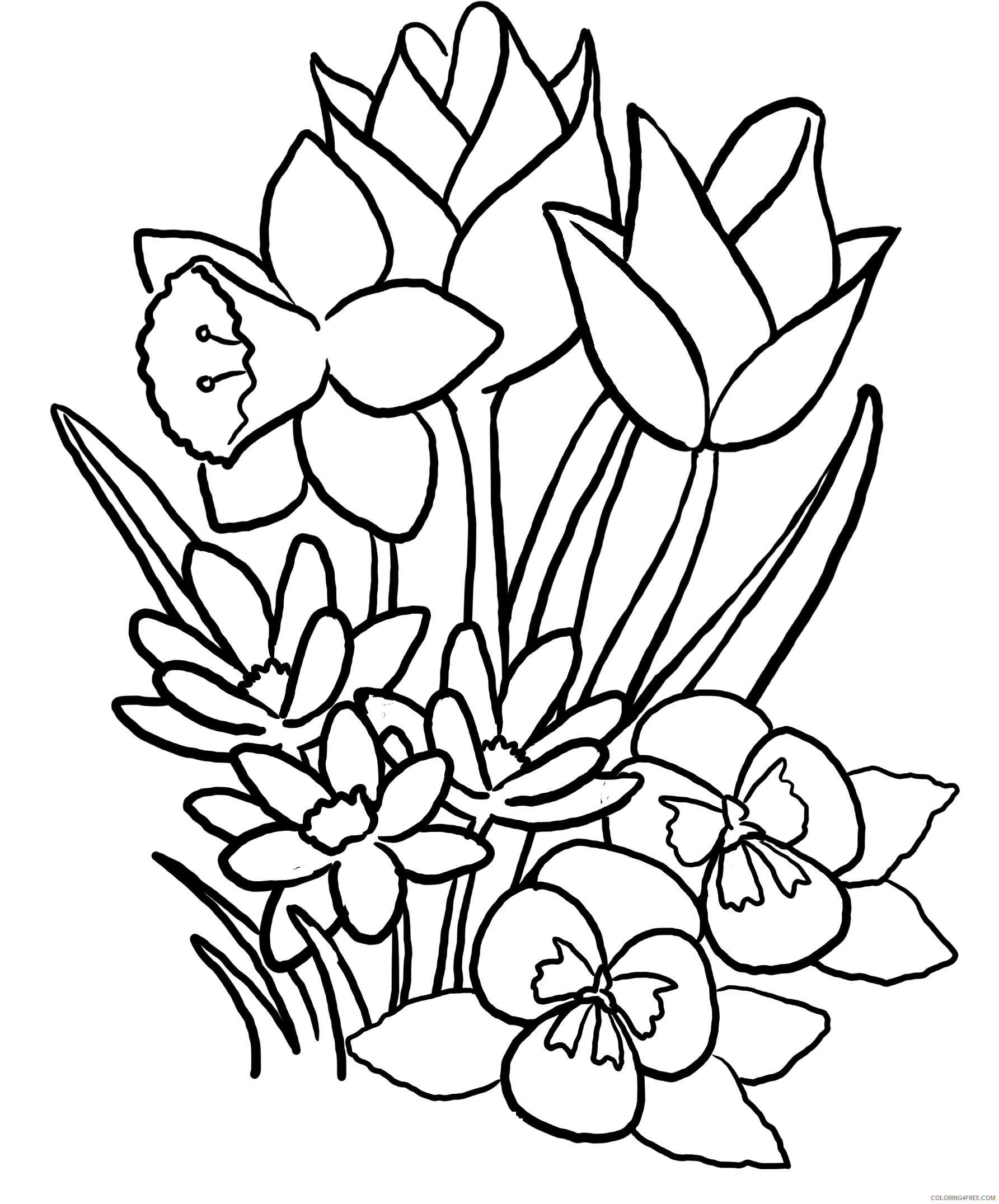 Printable Flower Coloring Pages Flowers Nature Flower Pictures Printable 2021 389 Coloring4free