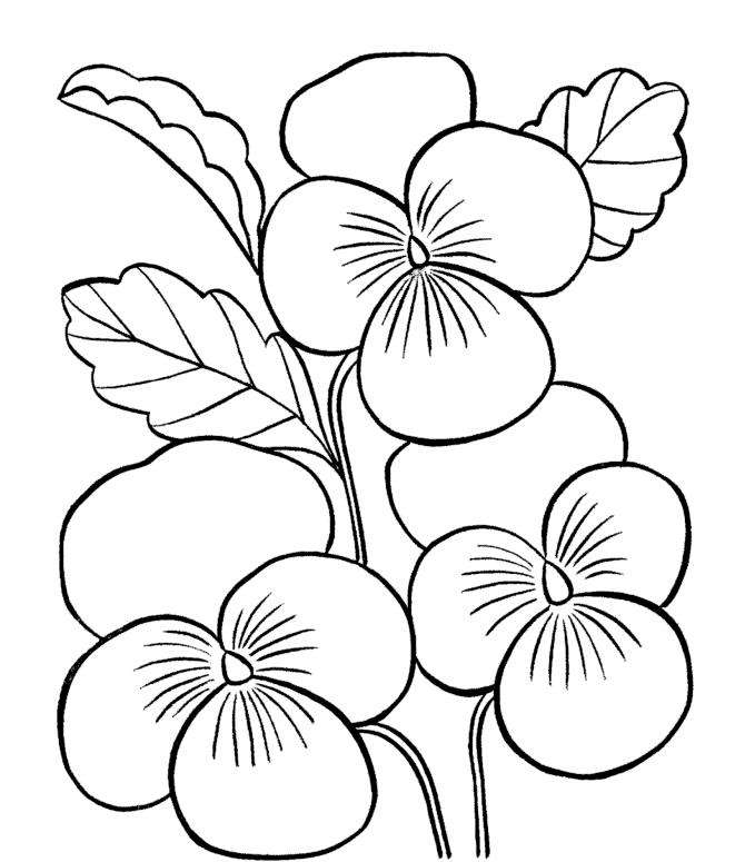 Printable Flower Coloring Pages Flowers Nature Pansy Flowers Printable 2021 417 Coloring4free