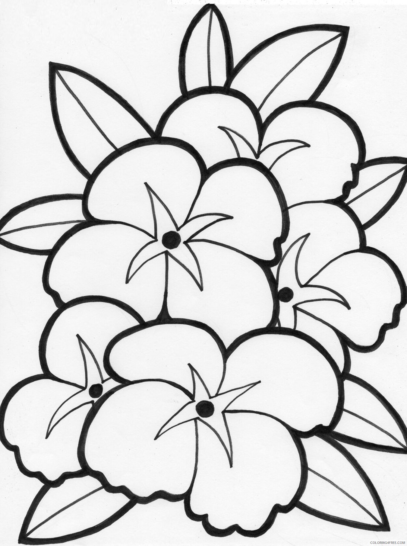 Printable Flower Coloring Pages Flowers Nature download flower Printable 2021 Coloring4free