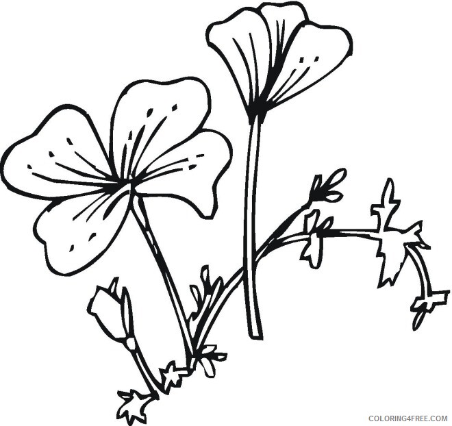 Printable Flower Coloring Pages Flowers Nature flower 07 Printable 2021 365 Coloring4free