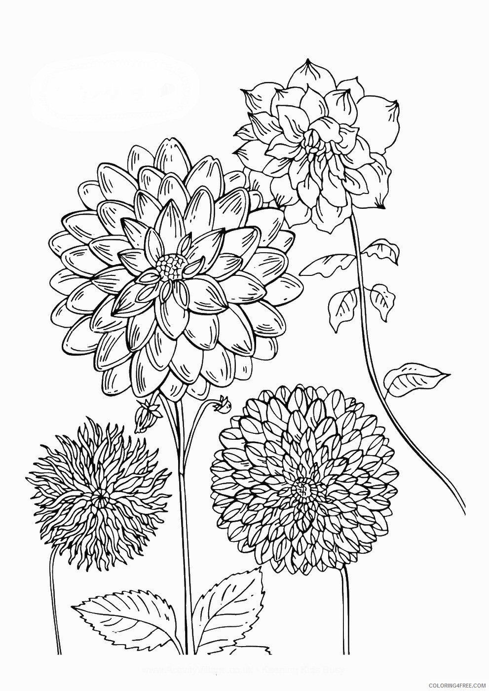Printable Flower Coloring Pages Flowers Nature flowerc122 Printable 2021 374 Coloring4free