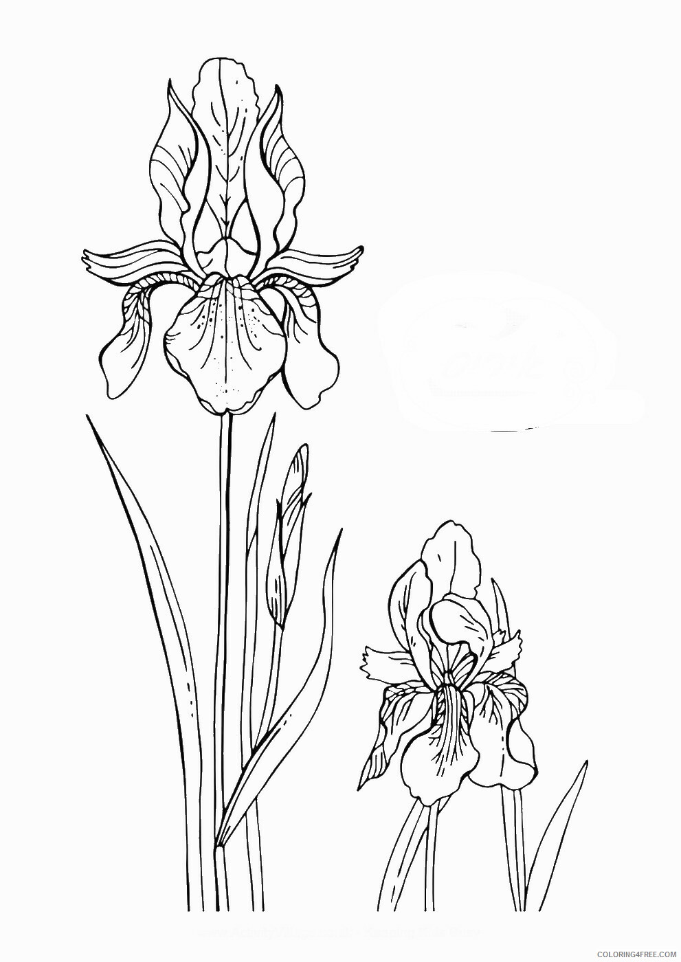 Printable Flower Coloring Pages Flowers Nature flowerc125 Printable 2021 377 Coloring4free