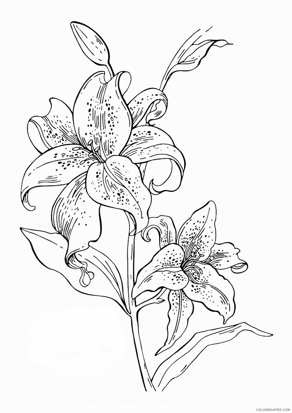 Printable Flower Coloring Pages Flowers Nature flowerc126 Printable 2021 378 Coloring4free