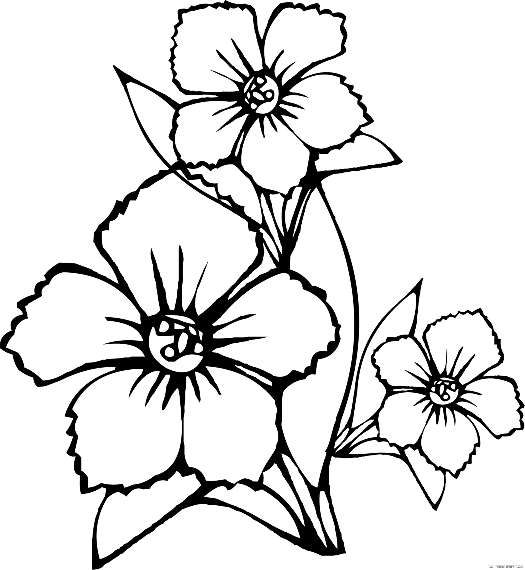 Printable Flower Coloring Pages Flowers Nature flowers Printable 2021 361 Coloring4free