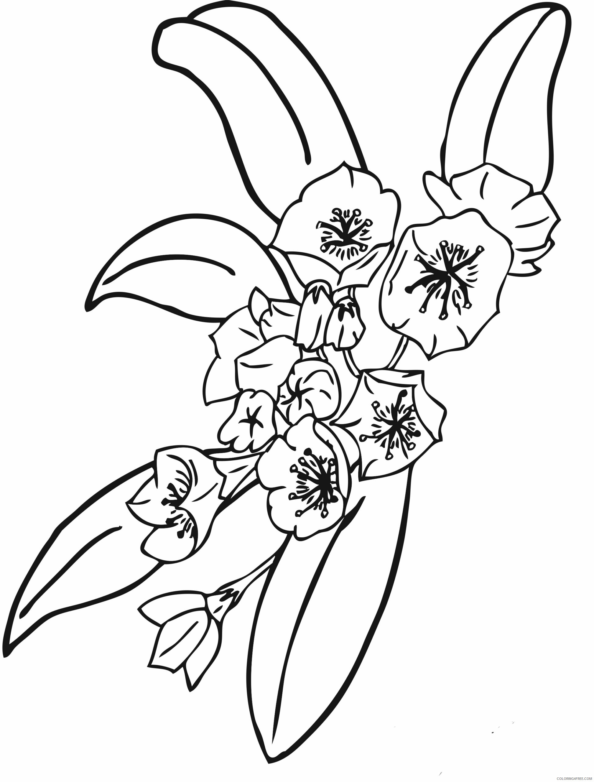 Printable Flower Coloring Pages Flowers Nature pictures Printable 2021 421 Coloring4free