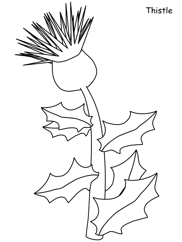 Printable Flower Coloring Pages Flowers Nature thistle Printable 2021 422 Coloring4free