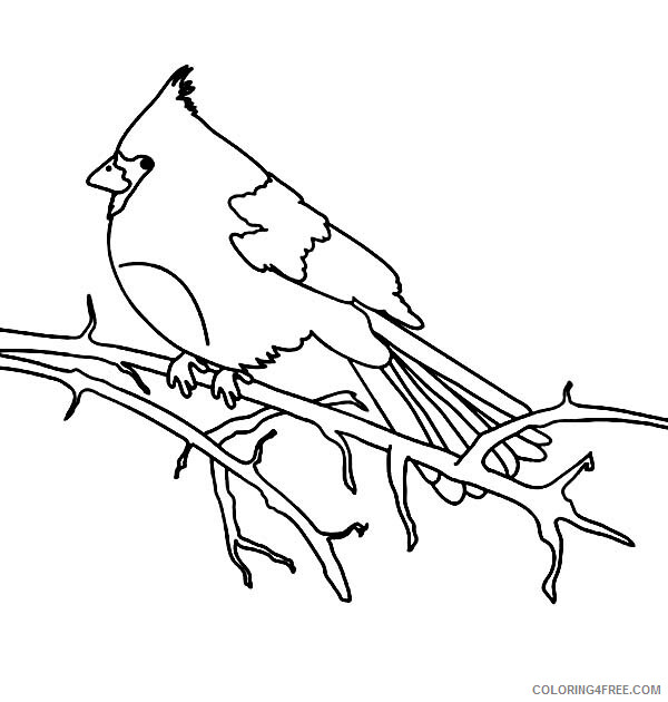 Printable Tree Coloring Pages Tree Nature Cardinal Bird Dead Tree Branch 2021 Coloring4free