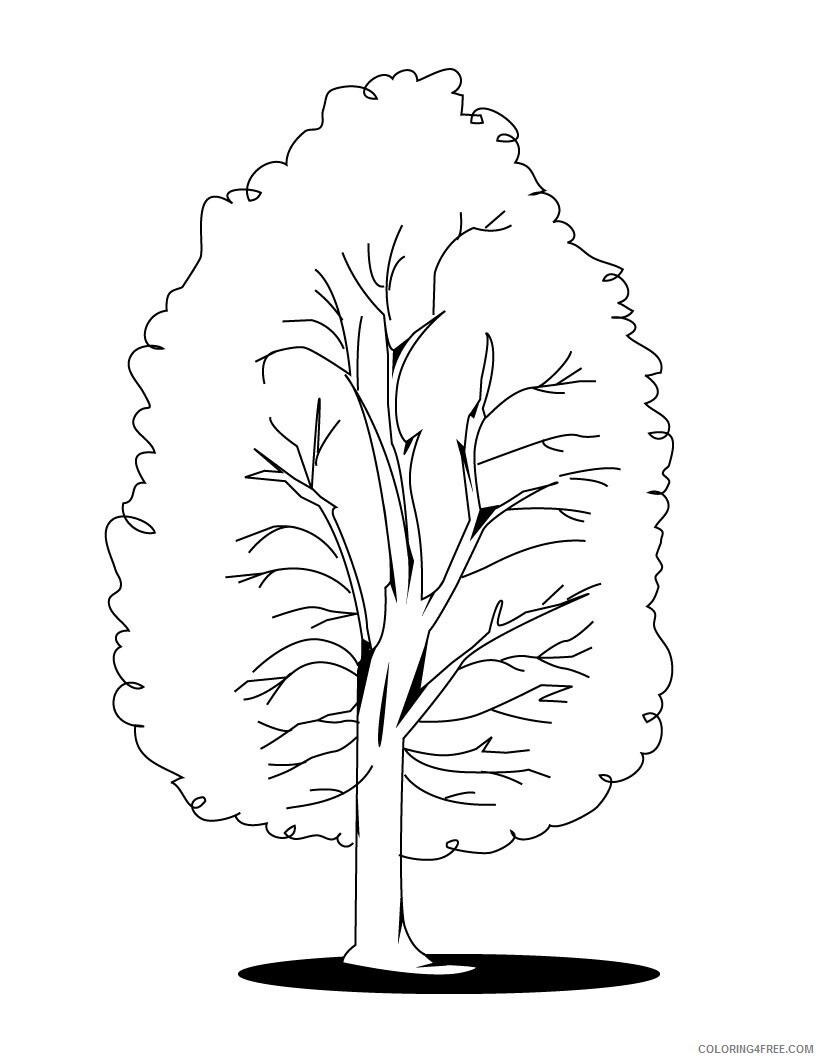 Printable Tree Coloring Pages Tree Nature Fall Tree Printable 2021 634 Coloring4free