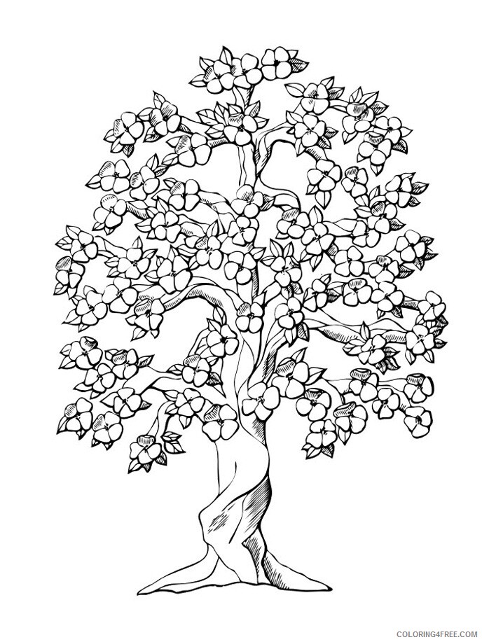 Printable Tree Coloring Pages Tree Nature Free Tree Printable 2021 636 Coloring4free