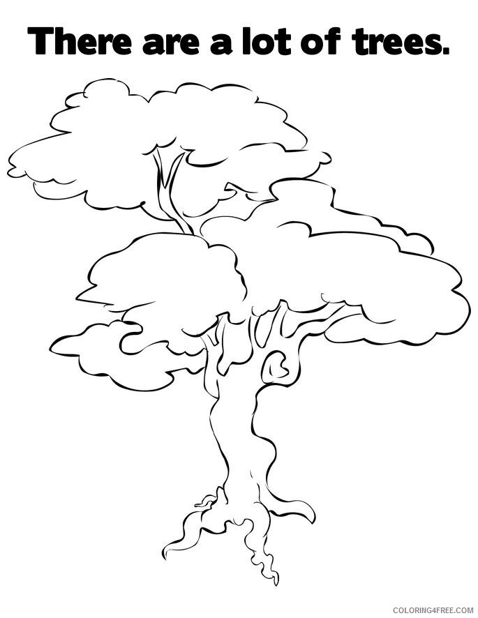 Printable Tree Coloring Pages Tree Nature Pecan Tree Printable 2021 642 Coloring4free
