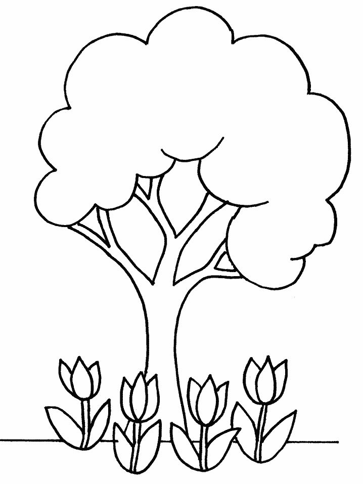 Printable Tree Coloring Pages Tree Nature The Giving Tree Printable 2021 648 Coloring4free