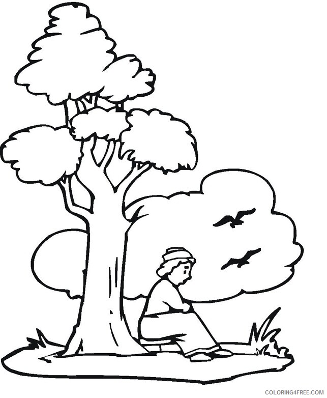 Printable Tree Coloring Pages Tree Nature Tree For Kids Printable 2021 ...