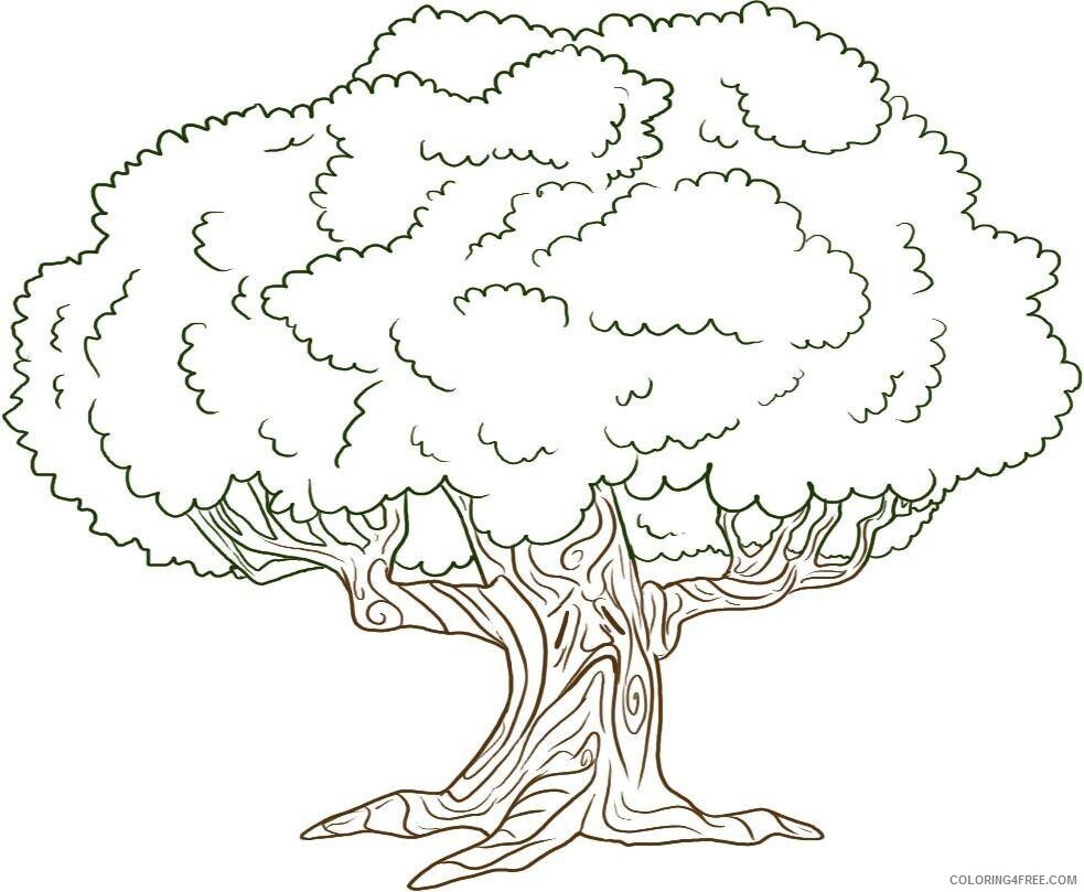 Printable Tree Coloring Pages Tree Nature Tree Pictures Printable 2021 694 Coloring4free
