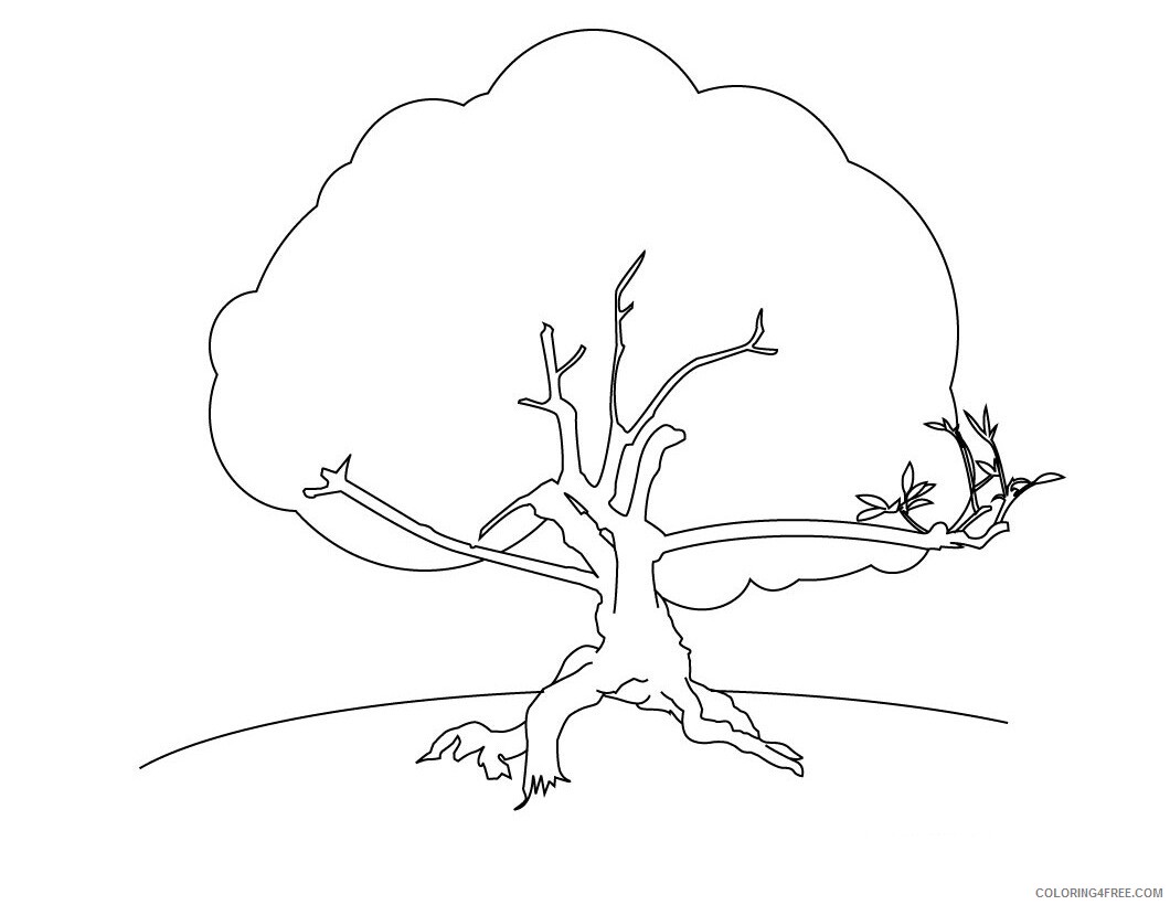 Printable Tree Coloring Pages Tree Nature Tree Printable 2021 629 Coloring4free