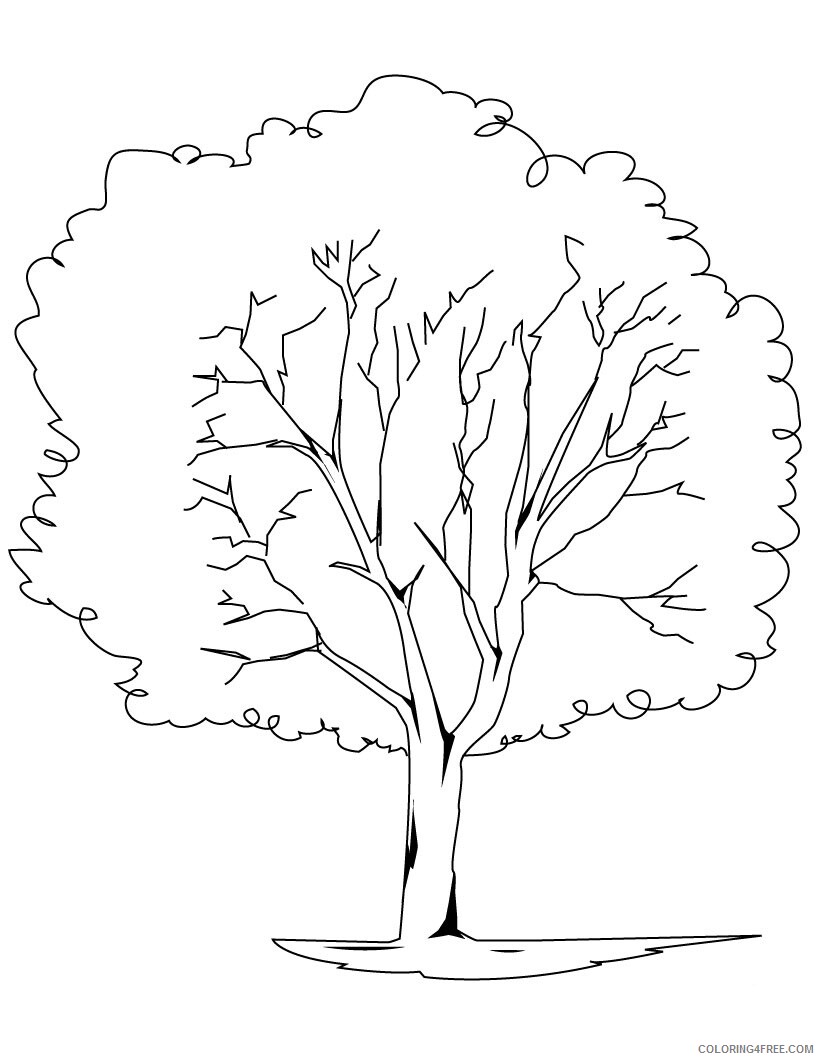 Printable Tree Coloring Pages Tree Nature Tree Printable 2021 668 Coloring4free