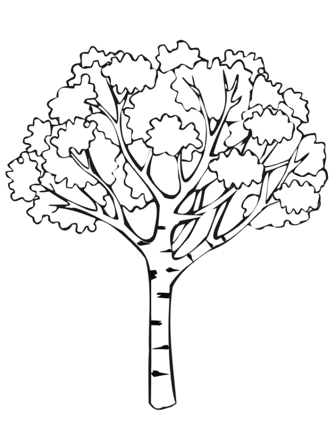 Printable Tree Coloring Pages Tree Nature Tree To Print Printable 2021 695 Coloring4free