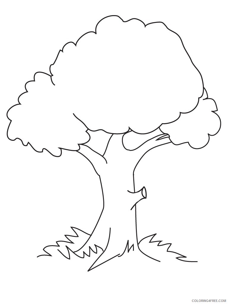 Printable Tree Coloring Pages Tree Nature Trees Printable 2021 630 Coloring4free