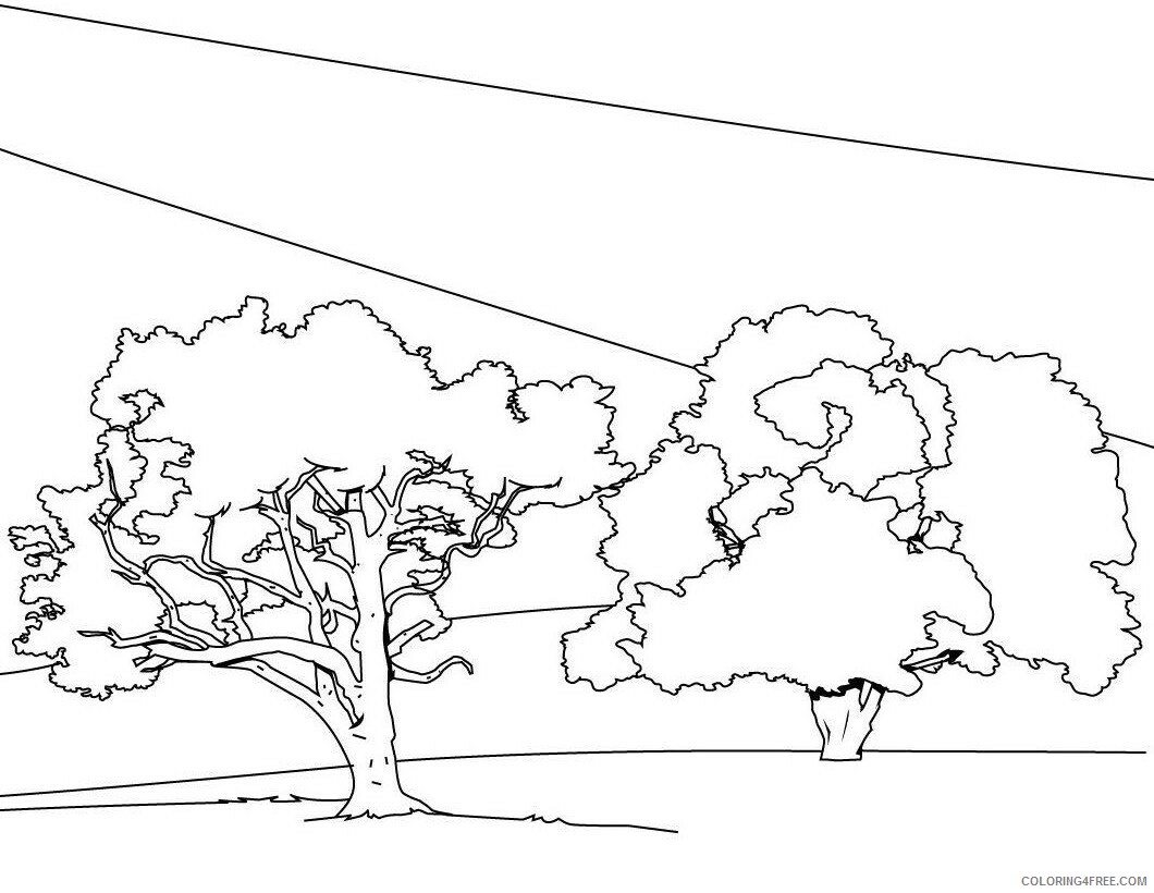 Printable Tree Coloring Pages Tree Nature Trees Printable 2021 632 Coloring4free