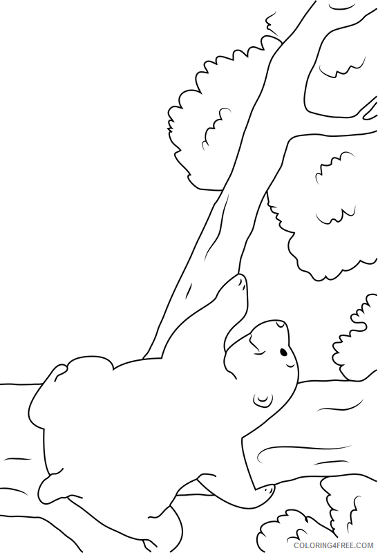 Printable Tree Coloring Pages Tree Nature climbing the tree a4 Printable 2021 614 Coloring4free