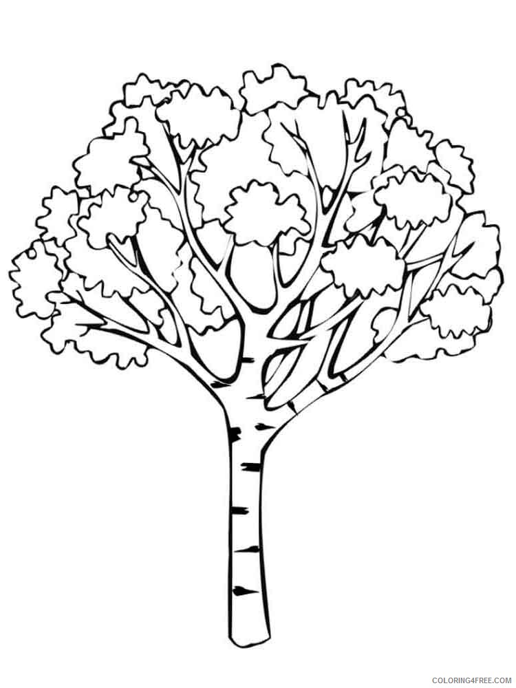 Printable Tree Coloring Pages Tree Nature tree 11 Printable 2021 671 Coloring4free