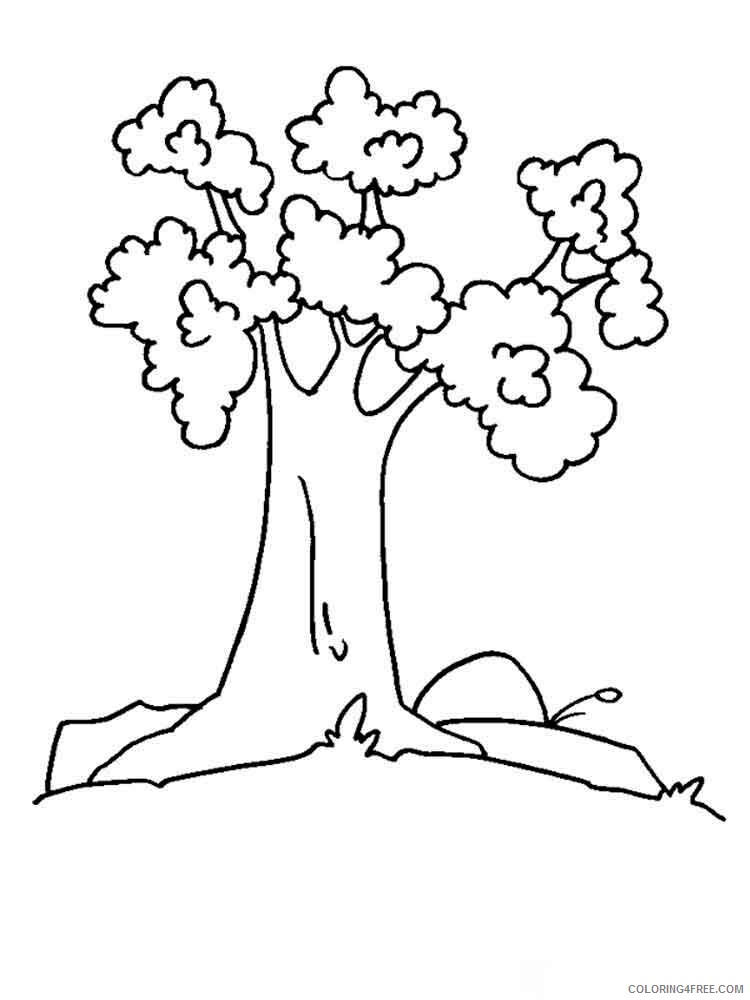 Printable Tree Coloring Pages Tree Nature tree 12 Printable 2021 672 Coloring4free