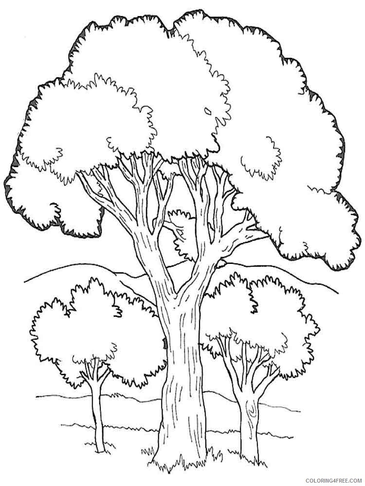 Printable Tree Coloring Pages Tree Nature tree 13 Printable 2021 673 Coloring4free